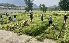 Khoảng trống sau điều trị và vai trò của phục hồi chức năng cho người bệnh tâm thần