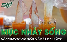 Món 'mực nhảy sống' sốt mạng xã hội, chuyên gia cảnh báo đang nuốt cả ký sinh trùng 