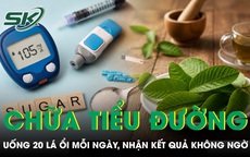 Uống 20 lá ổi mỗi ngày chữa tiểu đường, người đàn ông nhận kết quả không ngờ