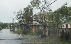 Áp thấp nhiệt đới mạnh lên, Biển Đông sắp đón cơn bão số 1