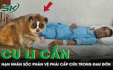 Bị cu li cắn, người đàn ông sốc phản vệ nguy kịch phải cấp cứu trong đau đớn