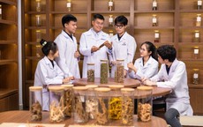 Triển khai kế hoạch phát triển y học cổ truyền theo kết luận của Tổng Bí thư, Chủ tịch nước Tô Lâm