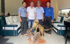 Bảo tàng ở Huế tiếp nhận tiêu bản động vật hoang dã quý hiếm