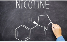 Từ 'không khói' đến 'không bị chú ý': Khi nicotine dần được bình thường hóa