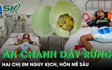 Hai chị em nguy kịch, hôn mê sâu sau khi ăn chanh dây xanh 