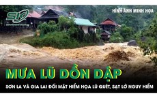 Mưa lũ dồn dập, Sơn La và Gia Lai đối mặt hiểm họa lũ quét, sạt lở đất cực kỳ nguy hiểm