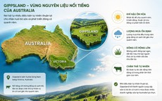 Sữa từ bò ăn cỏ tươi 4 mùa có gì đặc biệt mà được đánh giá cao?