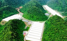 Ba công nhân tử vong tại trang trại nuôi lợn Dabaco Thanh Hóa