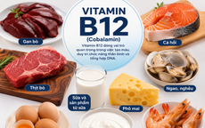 Bổ sung vitamin B12 và sắt có tác dụng gì?