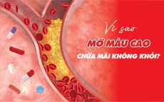 Chuyên gia lý giải nguyên nhân mỡ máu cao dễ mắc khó chữa