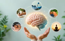 5 thói quen làm chậm lão hóa não, duy trì trí nhớ minh mẫn