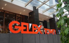 Ủy ban Chứng khoán xử phạt Tập đoàn Gelex