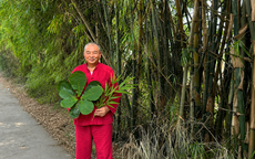 Đánh thức 'vàng xanh' Nam dược - Hành trình không ngừng nghỉ của 'Lão Nhà Quê'