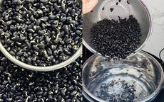 Những sai lầm khi uống nước đậu đen làm tăng gánh nặng cho thận