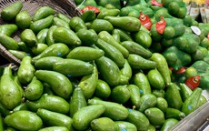Tiểu thương bật mí cách chọn bơ chín đều, dẻo mịn, không sợ đắng