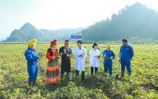 Dược liệu sạch, nhà máy GMP – Hành trình 'làm thật' của Dược phẩm Tâm Bình