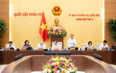 Thông qua nguyên tắc về thủ tục đưa người từ 12 - 18 tuổi đi cai nghiện bắt buộc