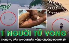 Vụ 900 con rắn tràn vào khu dân cư tại Trung Quốc: Một người phụ nữ bị cắn tử vong