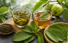 Lá ổi hay trà xanh làm chậm quá trình lão hóa hơn?