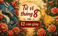 Tử vi 12 con giáp tháng 8/2026: Tị trầm lắng, Hợi đủ đầy