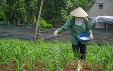5 nguyên tắc an toàn khi tiếp xúc hoá chất mỗi ngày không được bỏ qua