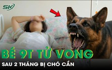 Bé gái 9 tuổi tử vong vì bệnh dại sau hơn 2 tháng bị chó cắn vào gót chân