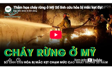Thảm họa cháy rừng ở Mỹ, số lính cứu hỏa bị mắc kẹt đạt mức cao nhất trong vòng 20 năm