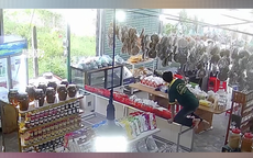 Rắn lớn bất ngờ ‘đột nhập’ cửa hàng đặc sản, 2 nhân viên bỏ chạy tán loạn