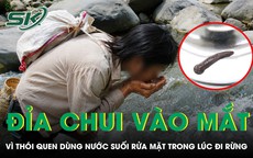 Rửa mặt bằng nước suối, đỉa dài 2 cm chui vào mắt