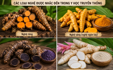 Các loại nghệ phổ biến và những điều cần biết khi sử dụng