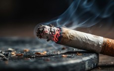 Xây dựng cộng đồng không khói thuốc đẩy lùi gánh nặng bệnh tim mạch và ung thư