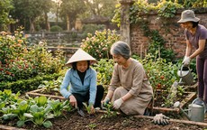 Vượt qua ‘cơn bão cảm xúc’ ở tuổi trung niên