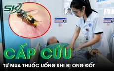 Bị ong đốt, người phụ nữ tự mua thuốc uống rồi nhập viện cấp cứu