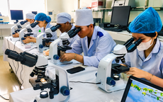 Sắp xếp tinh gọn cơ sở đào tạo y tế phải lấy an toàn người bệnh làm thước đo