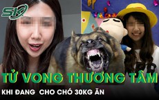 Bị chó tấn công khi đang cho ăn, người phụ nữ 33 tuổi tử vong thương tâm