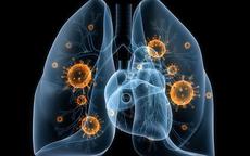 Viêm phổi do Adenovirus ở trẻ: Nhận biết sớm dấu hiệu nguy hiểm