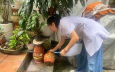 1.259 ca sốt xuất huyết, Hà Nội tăng cường kiểm tra phòng dịch trên toàn thành phố