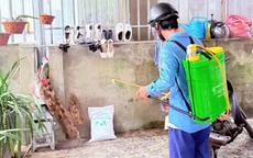 Phát hiện ổ dịch sốt xuất huyết tại Hà Tĩnh