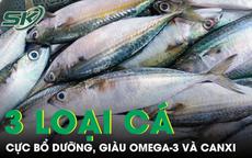 3 loại cá giá rẻ bán đầy chợ Việt nhưng bổ hơn nhiều người tưởng, giàu omega-3 và canxi