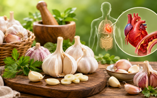 Củ tỏi chữa được những bệnh gì?