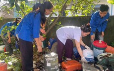 Nghệ An: 49 ca sốt xuất huyết tại một xã, nguy cơ dịch lan rộng