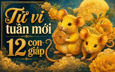 Tử vi tuần mới 12 con giáp từ 14/9 - 20/9: Tuất biến động, Thân tài chính cải thiện
