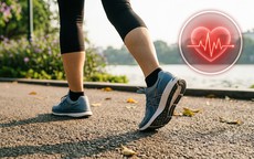 Điều gì xảy ra với cơ thể khi không đi bộ thường xuyên?