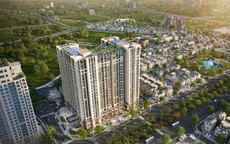 Đất xanh miền Bắc vi phạm chứng khoán