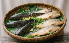 6 mẹo chọn cá tươi ngon và an toàn