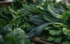 Cách ăn rau lá xanh đậm để phòng ngừa bệnh mạn tính
