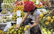 Hồng da tre có gì đặc biệt mà giá gần 200.000 đồng/kg vẫn được chị em thi nhau ‘săn đón’?