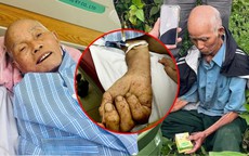 Cụ ông 83 tuổi được tìm thấy lạc trong rừng, thều thào: "Cho cha về nhà"
