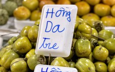 Tiểu thương lý giải giá hồng da tre đắt ngang hoa quả nhập khẩu nhưng vẫn được người tiêu dùng thi nhau tìm kiếm