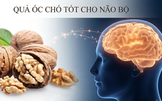 Thời điểm tốt nhất để ăn quả óc chó tốt cho não bộ
